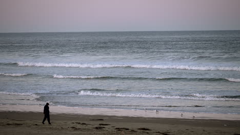 Silhouette-Einer-Person,-Die-An-Einem-Windigen-Tag-Am-Strand-Entlang-Geht---Statische-Ansicht-Mit-Möwen-Und-Wellen
