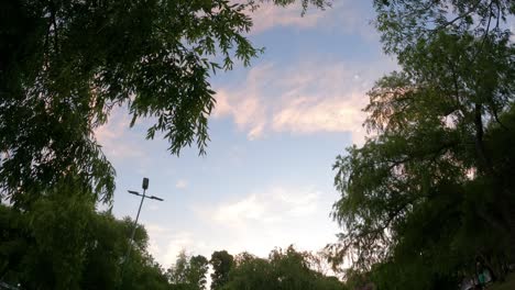 Lapso-De-Tiempo-De-Nubes-En-Movimiento-Sobre-árboles-Verdes-En-El-Parque