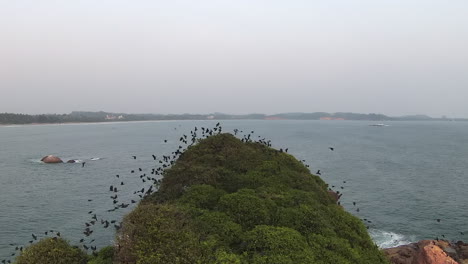 Luftaufnahme-Eines-Vogelschwarms,-Der-Sich-Vom-Grünen-Hügel-Vor-Dem-Weiten-Meerblick,-Sri-Lanka,-Erhebt