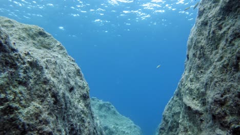 Escena-Submarina-En-Un-Mar-Azul-Profundo-Con-Arrecifes-De-Coral-Y-Peces-Marinos-Nadando