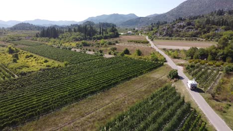 Motorhome-Driving-through-Wine-Vineyard-in-Croatia---Aerial