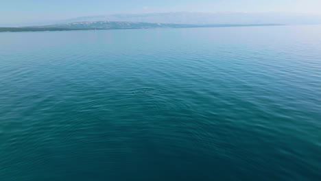Watching-Dolphins-Swimming-On-The-Blue-Ocean-Of-The-Adriatic-Sea-Near-Losinj-Island-In-Croatia