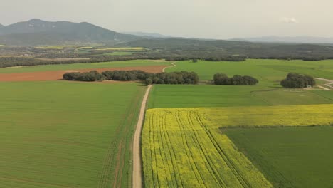 Aerial-images-in-La-Garrotxa-Girona-Besalú-Banyoles,-rapeseed-field-crops-I-fly-with-a-drone-gently-sliding-to-the-left