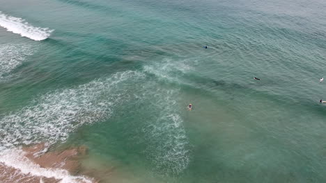 Surfers-In-Tropical-Seascape-With-Calm-Tidal-Waves
