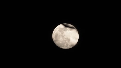 Full-moon-shot-through-tree-branches-at-night-with-a-focus-pull-to-settle-on-the-moon