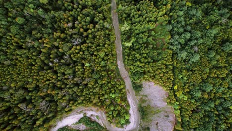 Overhead-view-of-meandering-jungle-river-in-dense-vibrant-forest-with-eroded-cliff,-Seaton