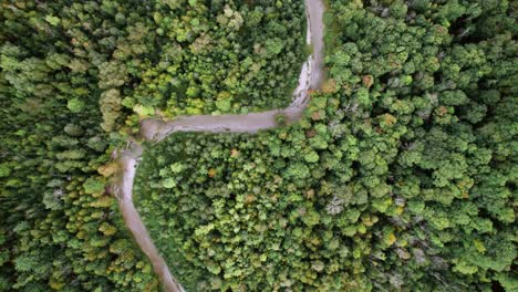 Meandering-river-corridor-in-dense-forest-valley-Top-Down-Tracking-shot
