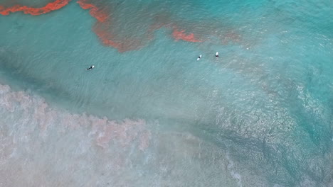 Top-Down-View-Of-Turquoise-Ocean-With-Surfers-Enjoying-The-Waves---aerial-drone-shot