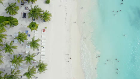 Overhead-shot-of-people-on-tropical-sandy-palm-beach-in-the-Caribbean