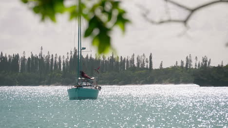 Rack-focus-from-leaves-to-sailboat-on-calm-bay,-Isle-of-Pines,-New-Caledonia