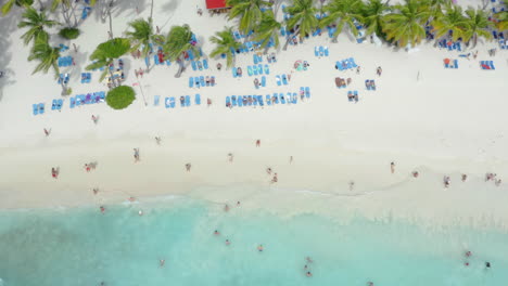 Tourists-crowd-beautiful-white-sand-beaches,-Saona-Island,-Dominican-Republic,-aerial-top-down