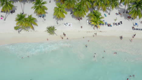 People-having-good-time-on-white-sand-tropical-palm-beach,-isla-Saona