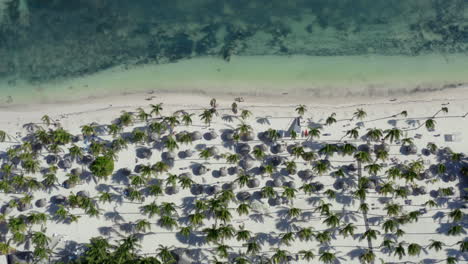 Tropischer-Palmenstrand-Von-Katalonien-Bavaro-In-Der-Dominikanischen-Republik,-Drohne