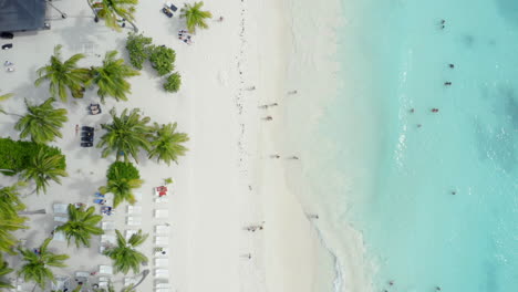 Menschen-Am-Tropischen-Weißen-Sandpalmenstrand-Mit-Azurblauem-Meer,-Isla-Saona