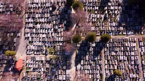 Aerial-shot-of-people-walking-through-graveyard-path-on-sunny-day
