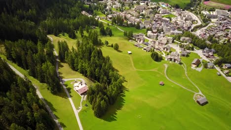 Dorf-In-Den-Schweizer-Alpen,-Tannenwald