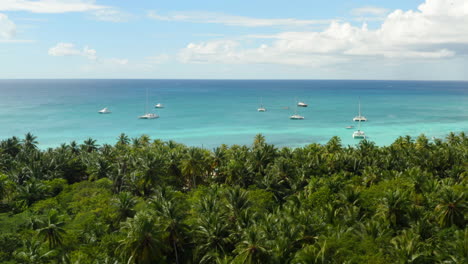 Luxus-Segelboote,-Die-Direkt-Vor-Der-Küste-In-Tropischen-Azurblauen-Gewässern-Verankert-Sind,-Saona,-Dominikanische-Republik,-Antenne