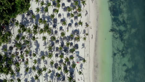 Caribbean-Catalonia-Bavaro-tropical-palm-beach,-Zooming-overhead-view