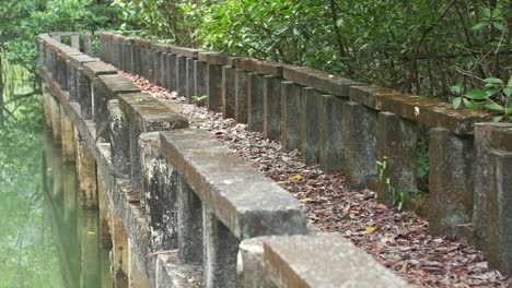 mangrove-forest-with-a-concrete-board-walk-for-eco-tourism