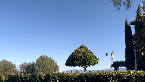 Malerische-Weingutlandschaft-Mit-Blauem-Himmel,-Bäumen-Und-Windmühle-In-Ferne-In-Kalifornien