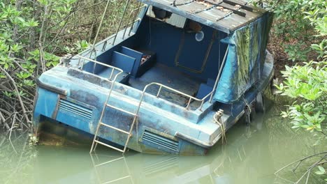 tilt-shot-of-sunken-small-boat-in-Mangrove-forest