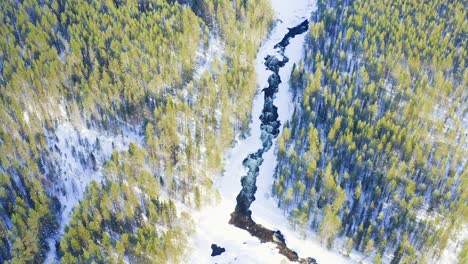 Luftaufnahme-Des-Mächtigen-Flusses-Zwischen-Schneebedeckten-Nadelwäldern