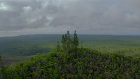 Cinematic-shot-of-few-pine-trees-on-the-peak-of-a-mountain-dominating-the-tropical-landscape-during-a-cloudy-day