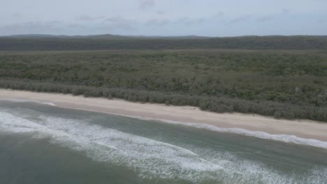 Coastal-Vegetation-In-North-Stradbroke-Island,-Queensland-Australia