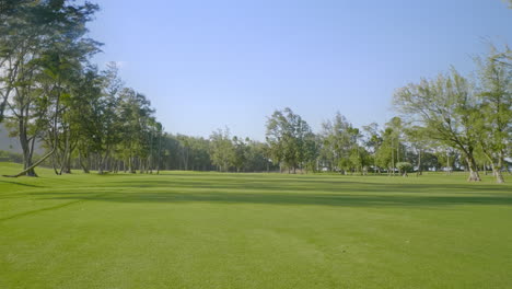 Static-view-of-a-large-green-golf-course-with-green-clipped-grass,-trees-and-palms
