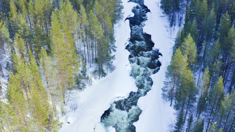 Flying-Above-Cascade-Powerful-River-Among-Scandinavian-Evergreen-Forests-In-Winter