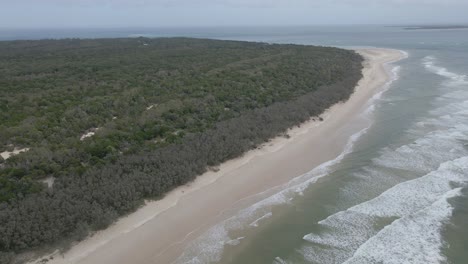 Gran-Bosque-Verde-En-Point-Lookout-Headland-En-North-Stradbroke-Island,-Queensland,-Australia