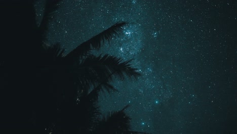 Time-lapse-of-the-milky-way-with-some-palm-tree-in-the-foreground