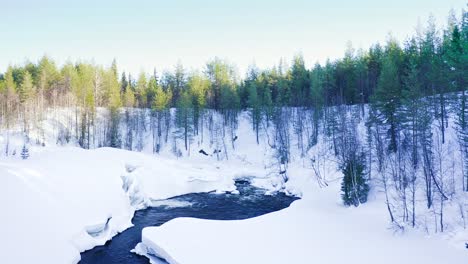 Flying-Over-Winding-Powerful-River-Among-Deep-Snowdrifts-And-Evergreen-Forest-On-Clear-Winter-Day
