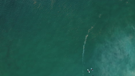 Aerial-Vertical-View-Of-Llandudno-Beach-With-Surfers-On-Surfboards-Floating-In-Turquoise-Blue-Waters