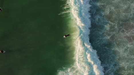 Surfers-On-The-Wave-At-Llandudno-Beach,-Cape-Town,-South-Africa---aerial-top-down