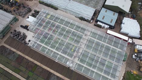 Turning-drone-rising-overhead-view-Flower-and-plant-Nursery-plant-wholesale-Essex-England