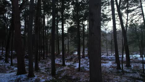 Smooth-drone-video-footage-rising-through-a-beautiful-snowy-pine-forest-in-winter