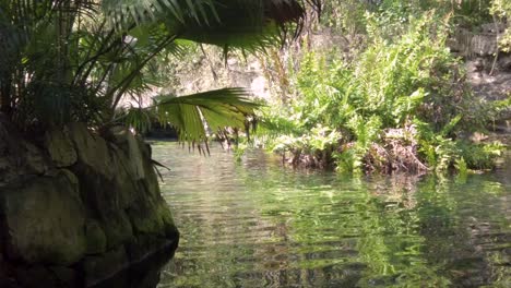 Wasser-Kräuselt-Sich-Auf-Der-Oberfläche-Einer-Cenote-In-Tulum,-Mexiko