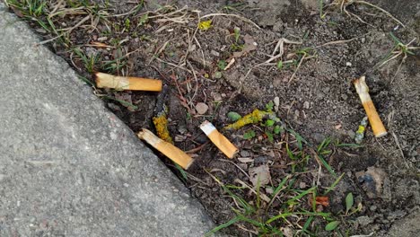 Cogollos-De-Cigarrillo-Desechados-En-La-Carretera-De-Manera-Irresponsable