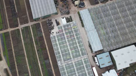 Flower-and-plant-Nursery-plant-wholesale-Essex-England-top-down-aerial-drone-footage