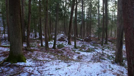 Smooth-video-footage-gliding-through-a-beautiful-snowy-pine-forest-in-winter