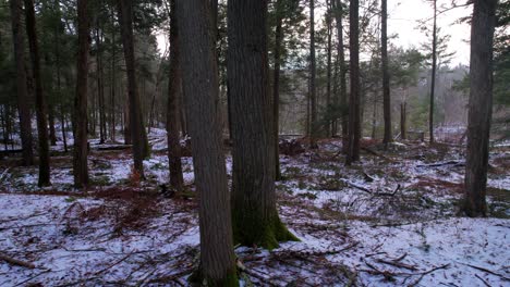 Smooth-drone-video-footage-gliding-through-a-beautiful-snowy-pine-forest-in-winter