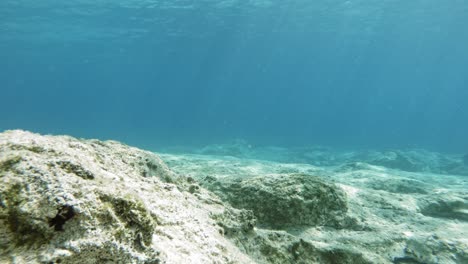 Underwater-View-of-the-Shallow-Waters-of-Paralia-Emplisi-with-Sunbeam-Lighting-the-Rocky-Seafloor-with-a-Fish-Swimming-Around-in-Erisos-Greece---Fixed-Shot