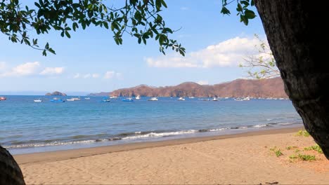 Tropical-sandy-beach-with-an-old-tree,-small-waves-on-a-sunny-day,-Coco-Beach-in-Guanacaste,-Costa-Rica