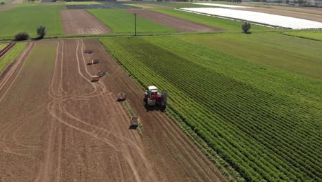 Aerial-shot,-flying-over-a-tractor-harvesting-potatoes-with-a-man-standing-behind-it