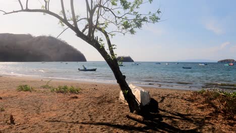 Tropical-sandy-beach-with-a-tree,-small-waves-on-a-sunny-day,-Coco-Beach-in-Guanacaste,-Costa-Rica