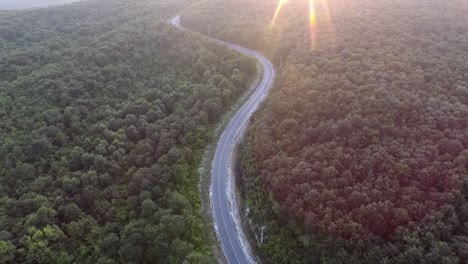 Curved-Road-Between-Forest-at-Sunset-Drone-View