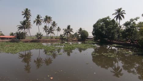 Scenic-Landscape-Waterway-View-And-Reflection-Of-Palm-Trees-And-Vegetation-On-Banks-Of-Alappuzha-In-India