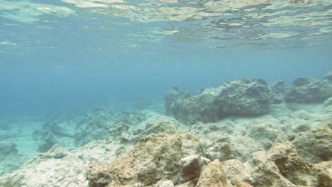 Rocky-Seabed-Of-Paralia-Emplisi,-Greece--Underwater-Shot
