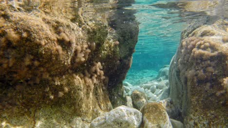 Korallenriffe-Auf-Unberührtem-Wasser-Von-Emplisi-Beach,-Cefalonia,-Griechenland